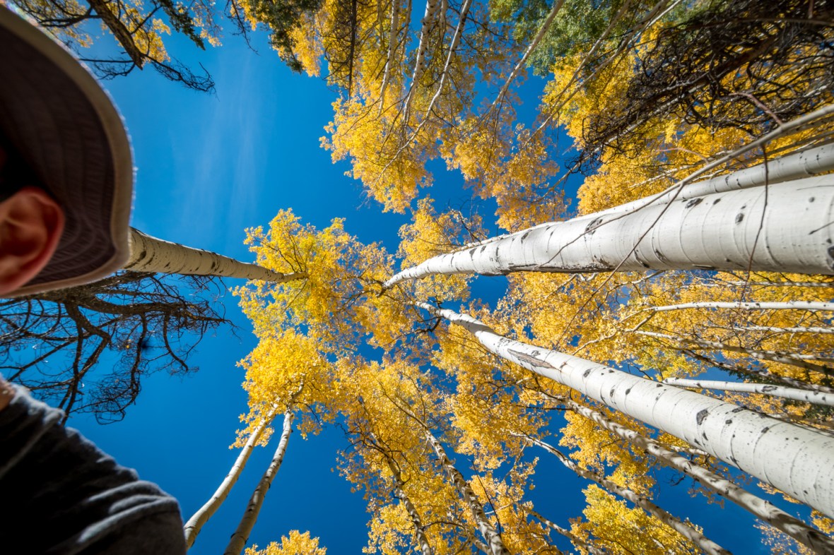 Aspen - self portrait 2015-0160